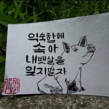 뱃살.jpg